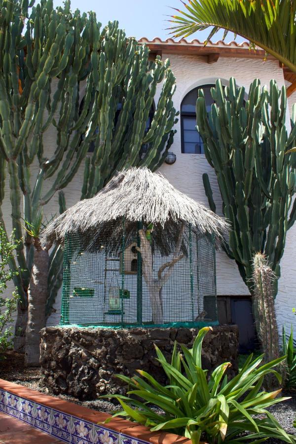 Miramar Boutique Adults Only Apartament Corralejo